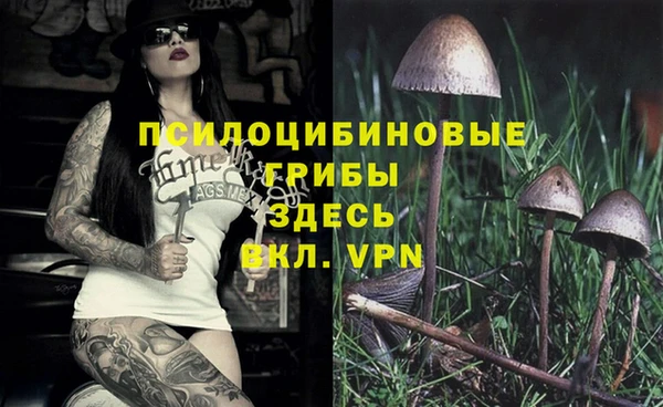каннабис Армянск