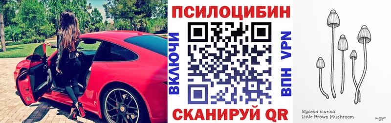 Галлюциногенные грибы мицелий  купить наркотик  Мариинский Посад 
